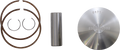 WISECO Piston - Ski-Doo - 1.00 mm High-Performance 2308M06300