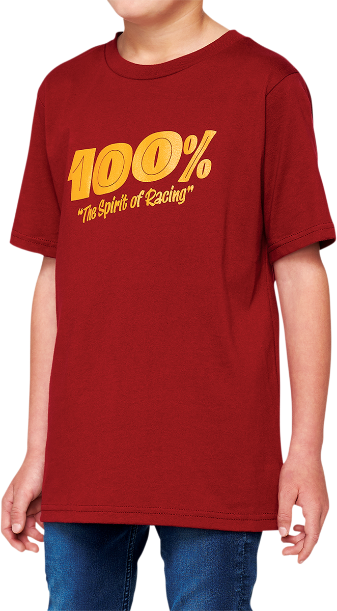 100% Youth Price T-Shirt - Brick - Large 34087-068-06