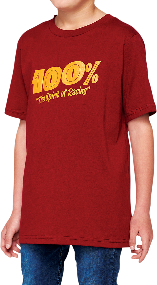 100% Youth Price T-Shirt - Brick - Large 34087-068-06