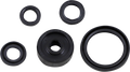 MOOSE RACING Engine Oil Seal Kit 822377MSE