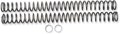 RACE TECH Fork Springs - 0.42 kg/mm FRSP 444942