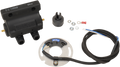 DYNATEK Dual-Fire Ignition Switch - Harley Davidson DSK6-1