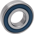DRAG SPECIALTIES Clutch Bearing R12-2RS