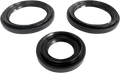 EPI Differential Seal Kit - Rear WE290101