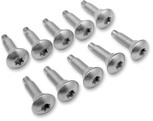 DRAG SPECIALTIES Electric Fuel Injection Mount Screw - 10-Pack MPBDR13