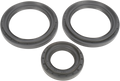 MOOSE RACING Differential Seal Kit - Rear 25-2045-5