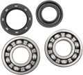 Hot Rods Crank Bearings K013