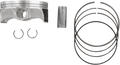 WISECO Piston Kit - Standard High-Performance 4869M09550